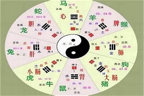 金五行字|五行汉字属性查询